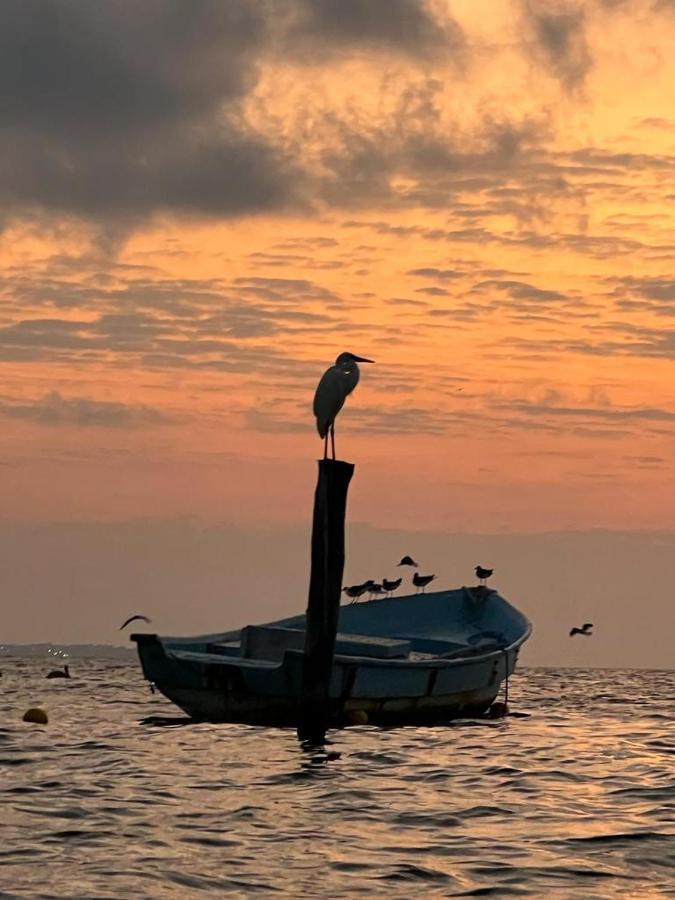 Tu Casa En El Caribe Daire Cancun Dış mekan fotoğraf