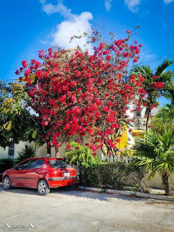 Tu Casa En El Caribe Daire Cancun Dış mekan fotoğraf