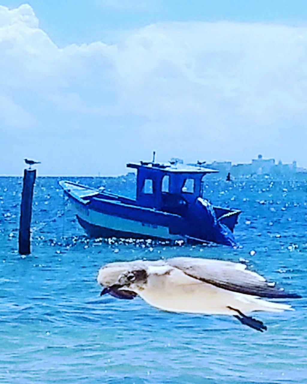 Tu Casa En El Caribe Daire Cancun Dış mekan fotoğraf